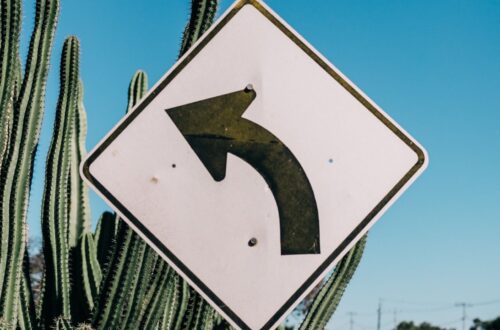 White left curve road sign in front of a high cactus plant and blue sky © Rachel Claire